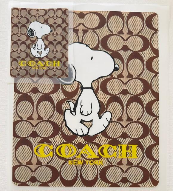 Snoopy - Coach background-2pc set
