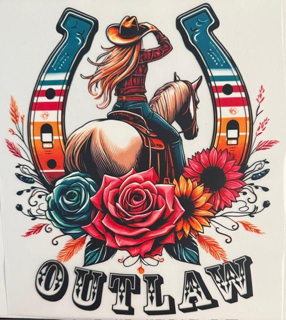 Horse Shoe Cowgirl, Outlaw word