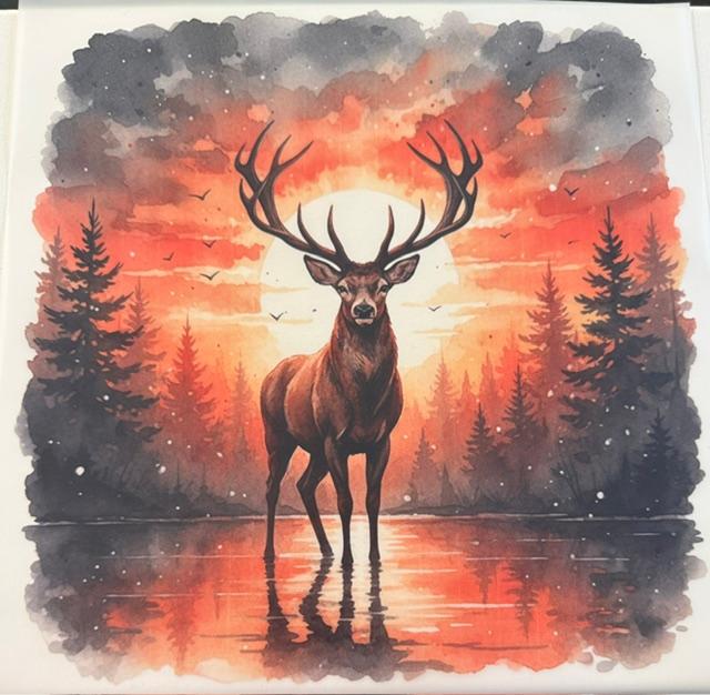 Deer - sunset