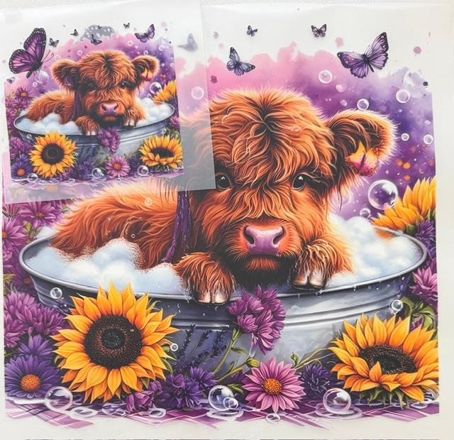 Cow in tub-2pc set