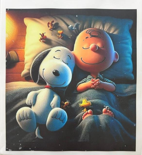 Charlie Brown & Snoopy sleeping
