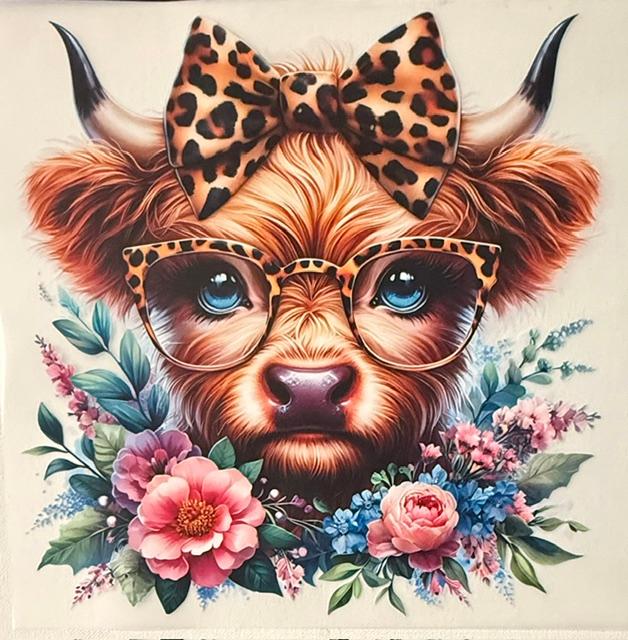 Cow wearing glasses, leopard bow