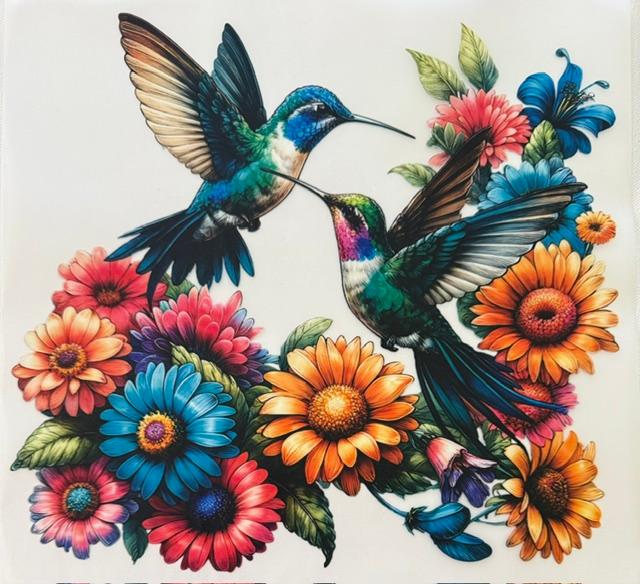 Humming birds - flowers