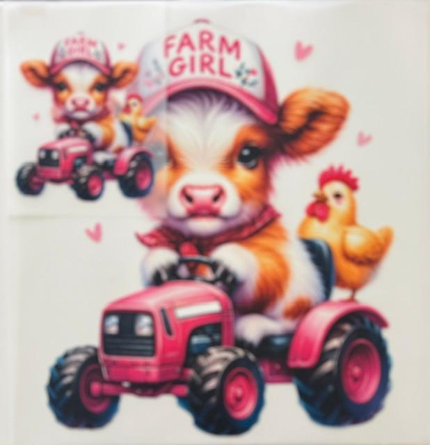 Cow Farm girl hat-2pc set