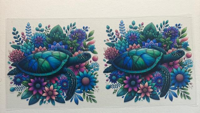 Turtles- green/blue