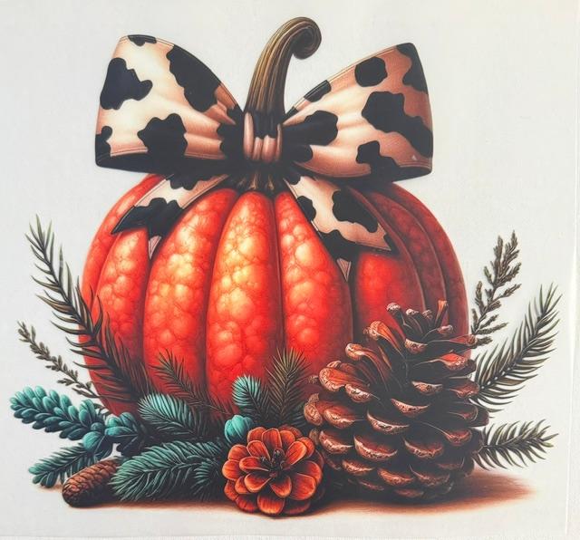 Pumpkin - cow print bow, pine cone