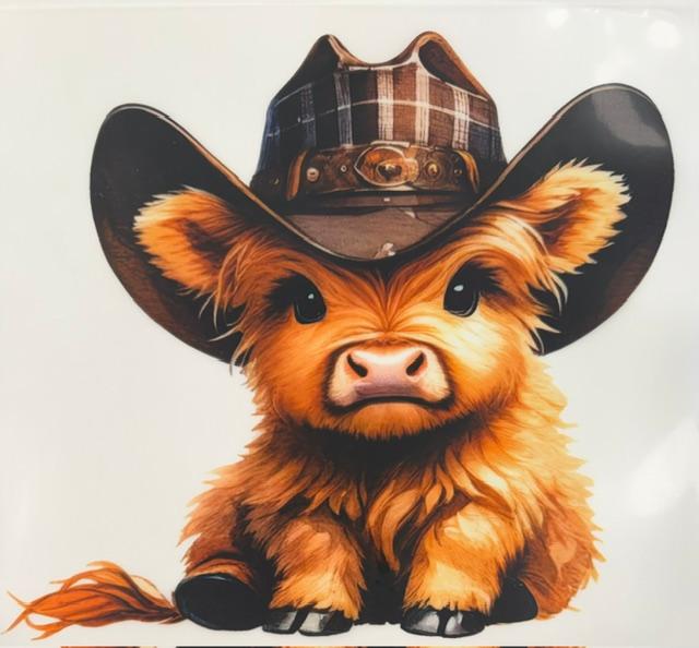 Cow - cowboy hat