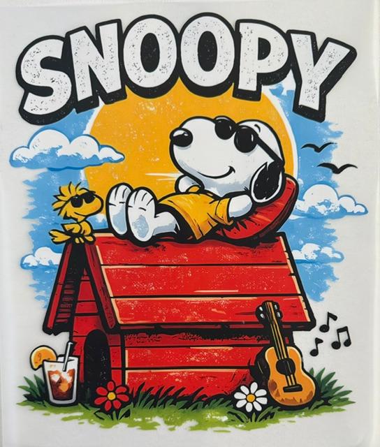 Snoopy - laying on house