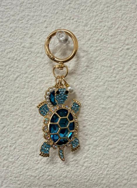 Turquoise Turtle Key chain