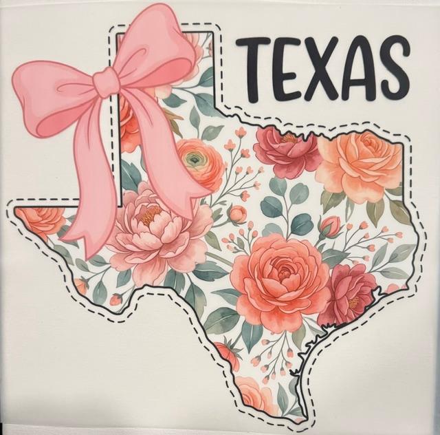 Texas - pink bow