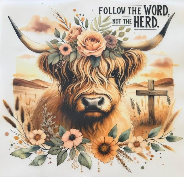 Follow the word, not the Herd