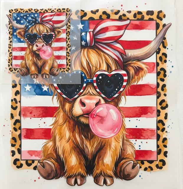 Cow-Am flag-2pc set