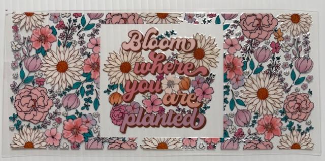 Bloom where you are planted