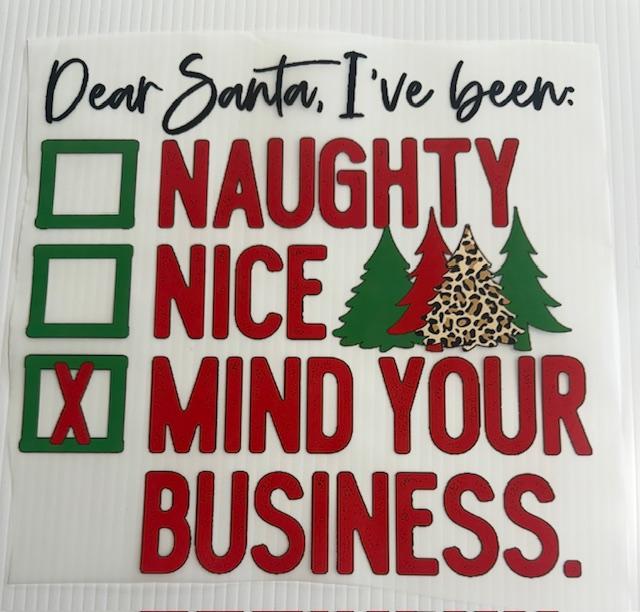 Dear Santa, I've been: Naughty/Nice/mind your business