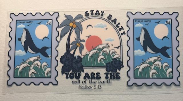 Stay Salty - dolphins