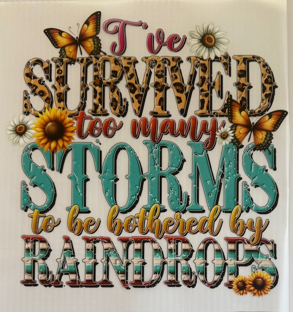 I've Survived Too many Storms to be bothered by Raindrops - cheetah
