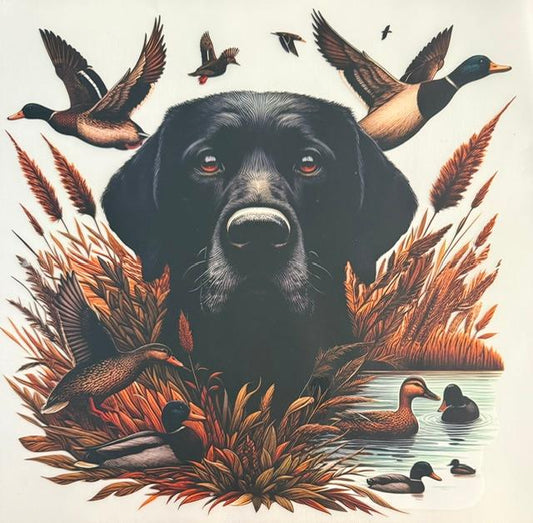 Hunting Dog, ducks