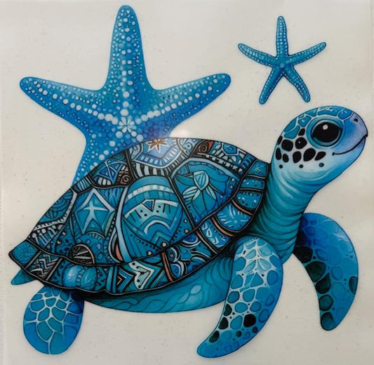 Blue Turtle, star fish