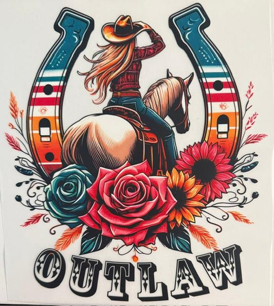 Horse Shoe Cowgirl, Outlaw word