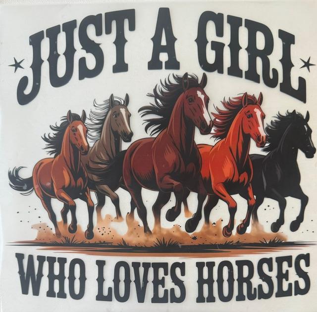 Just a Girl who Loves Horses