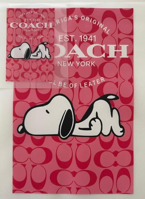 Snoopy-pink Coach background-2pc set