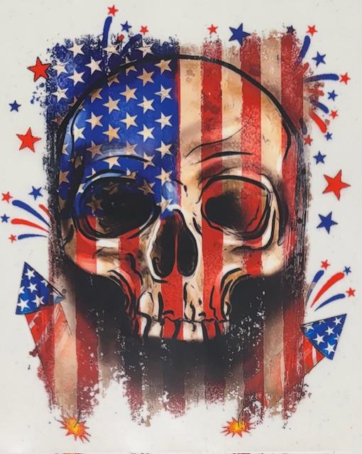 Am Flag w/ Skull