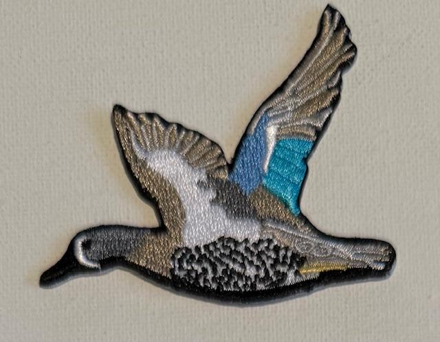 Flying Duck hat path