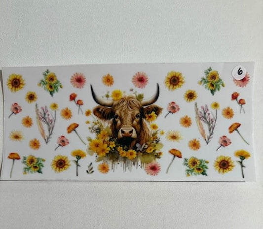 Cow #6