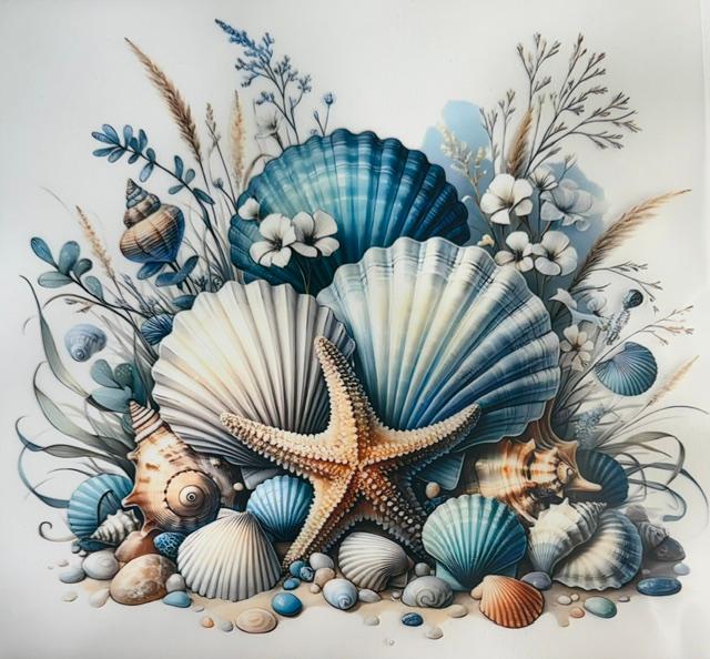 Shells