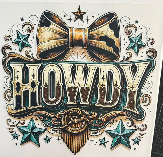 Howdy, vow print bow, teal stars