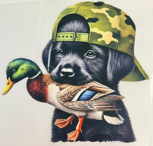 Hunting Dog, duck in mouth