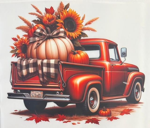 Fall - Big white pumpkin in truck