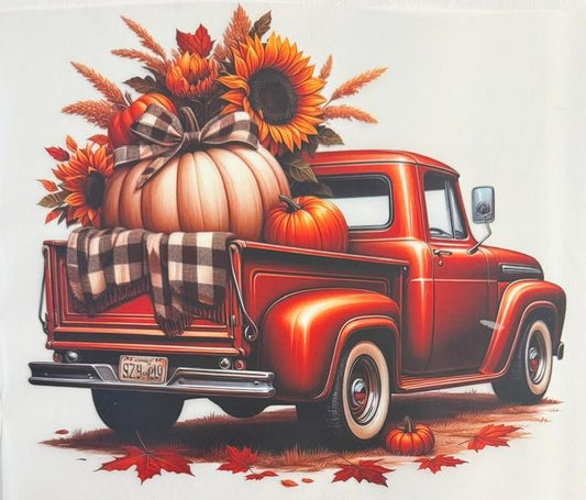 Fall - Big white pumpkin in truck