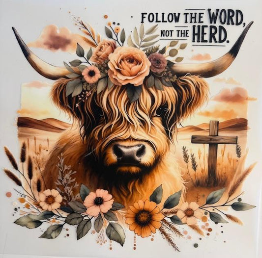 Cow Follow the Word not the Herd