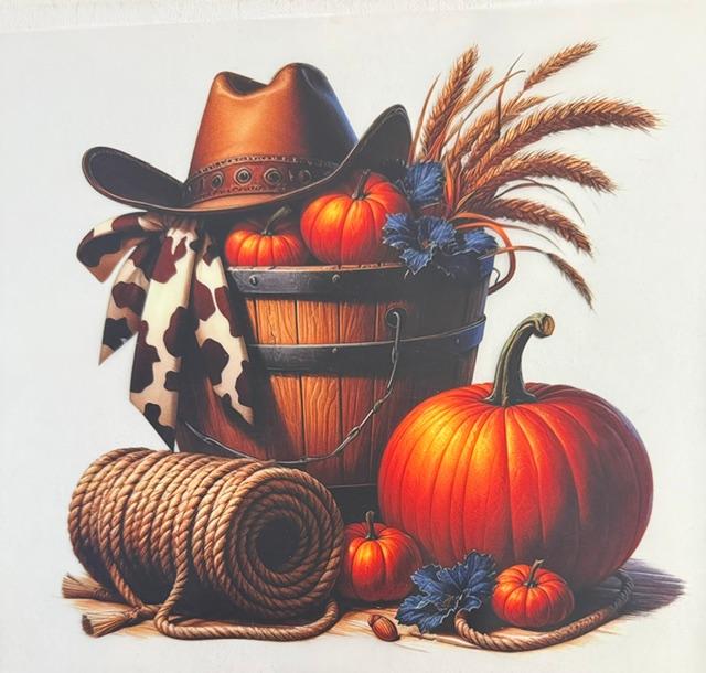 Fall - Hat, pumpkins, rope