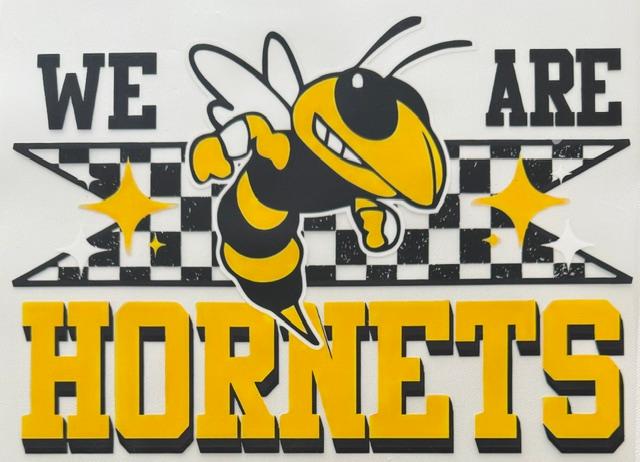 We are Hornets