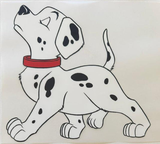 Dalmation