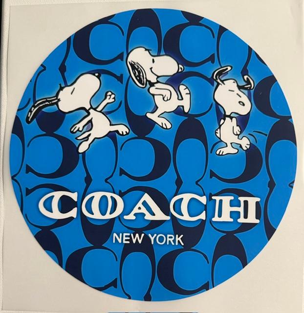Snoopy - Blue Coach circle