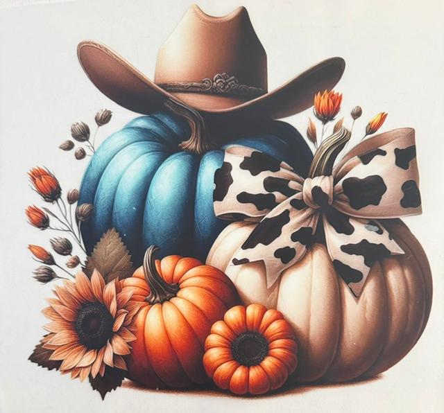 Fall Pumpkins, blue, white & orange, hat on blue