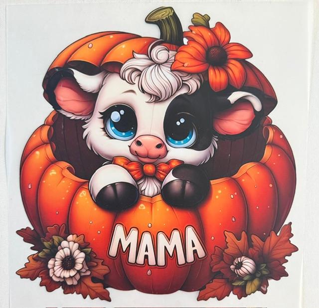 Mama - Baby cow in pumpkin