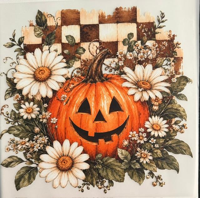 Pumpkin - white daisies