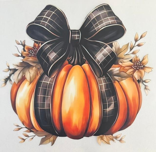 Pumpkin , black bow