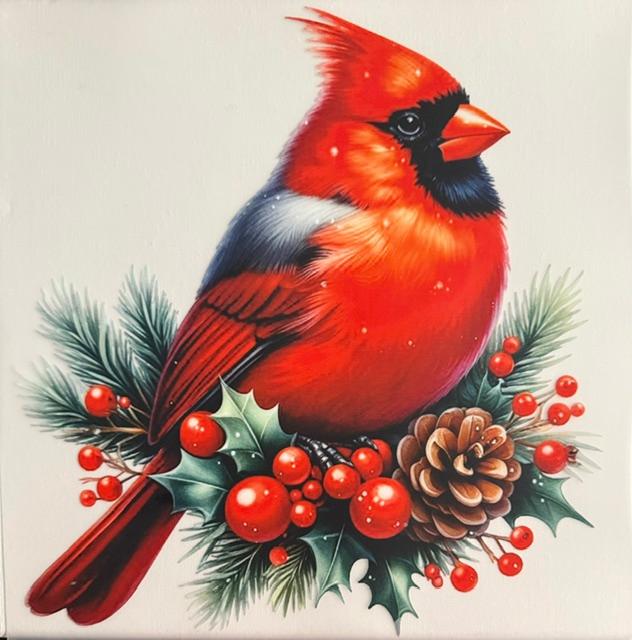 Big Cardinal