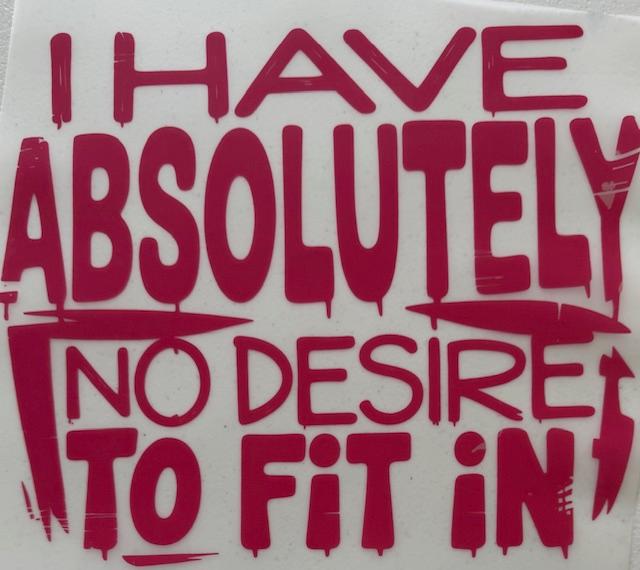 I have absolutely no desire to fit in