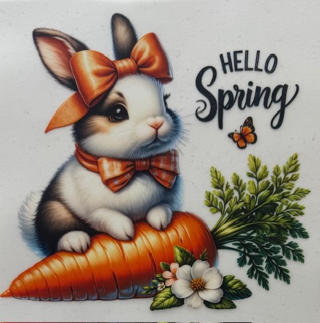 Hello Spring, bunny with orange bow, carrot