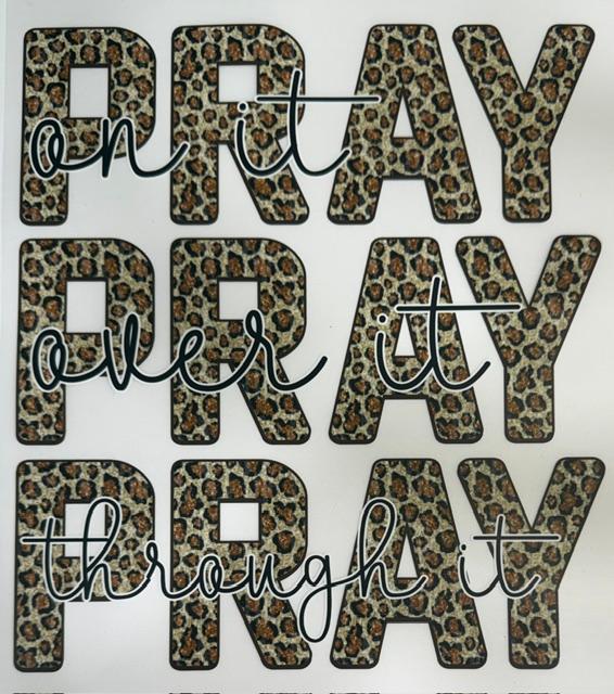 Pray Pray Pray - cheetah