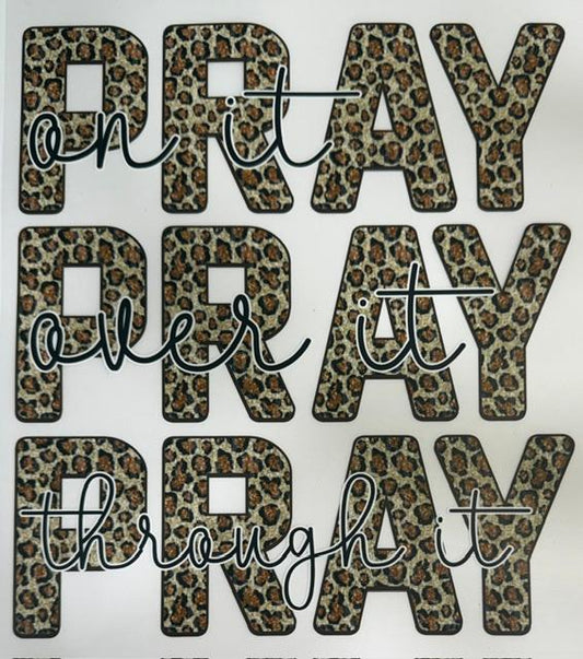 Pray Pray Pray - cheetah
