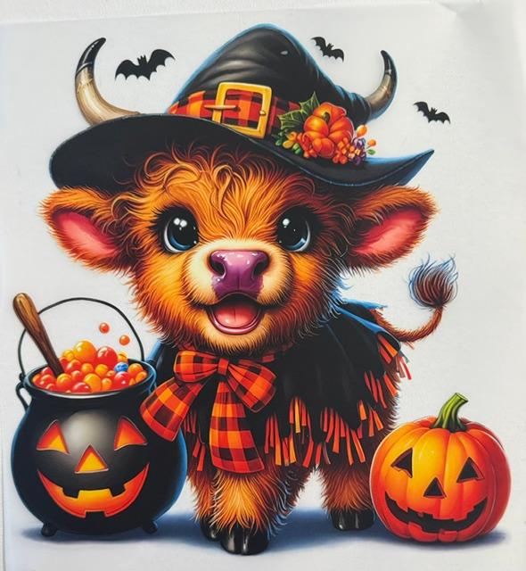Halloween Cow  - witch hat/pumpkin