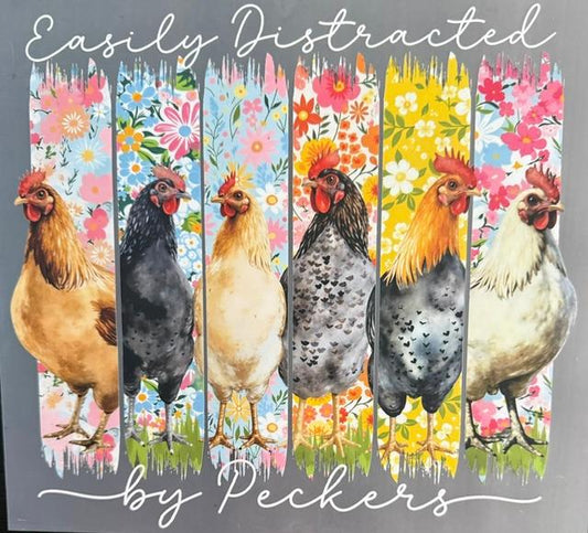 Easily distracted by Peckers-chickens