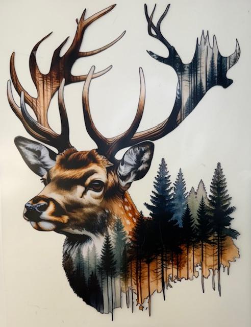Deer, woods scene